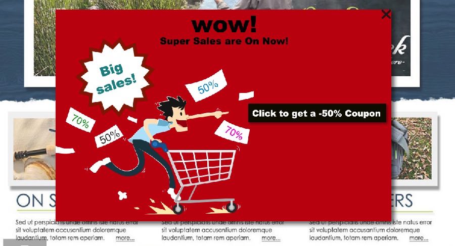 Ecommerce Sales Discount Offers Popup