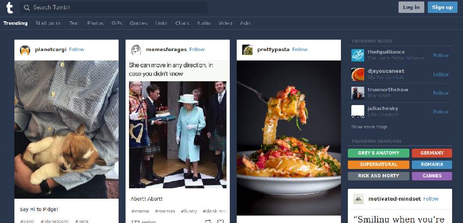 Tumblr Platform Pictures Examples