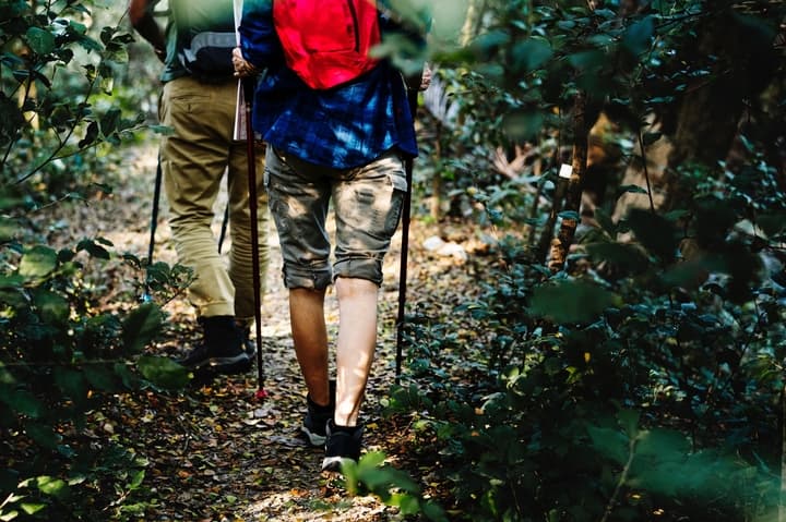 Outdoor Activity Hiking Woods