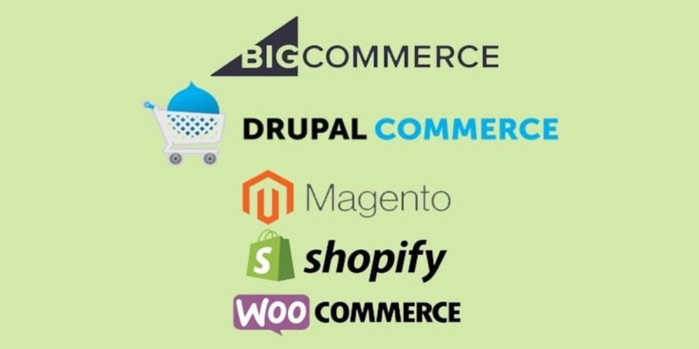 Successful Ecommerce Business