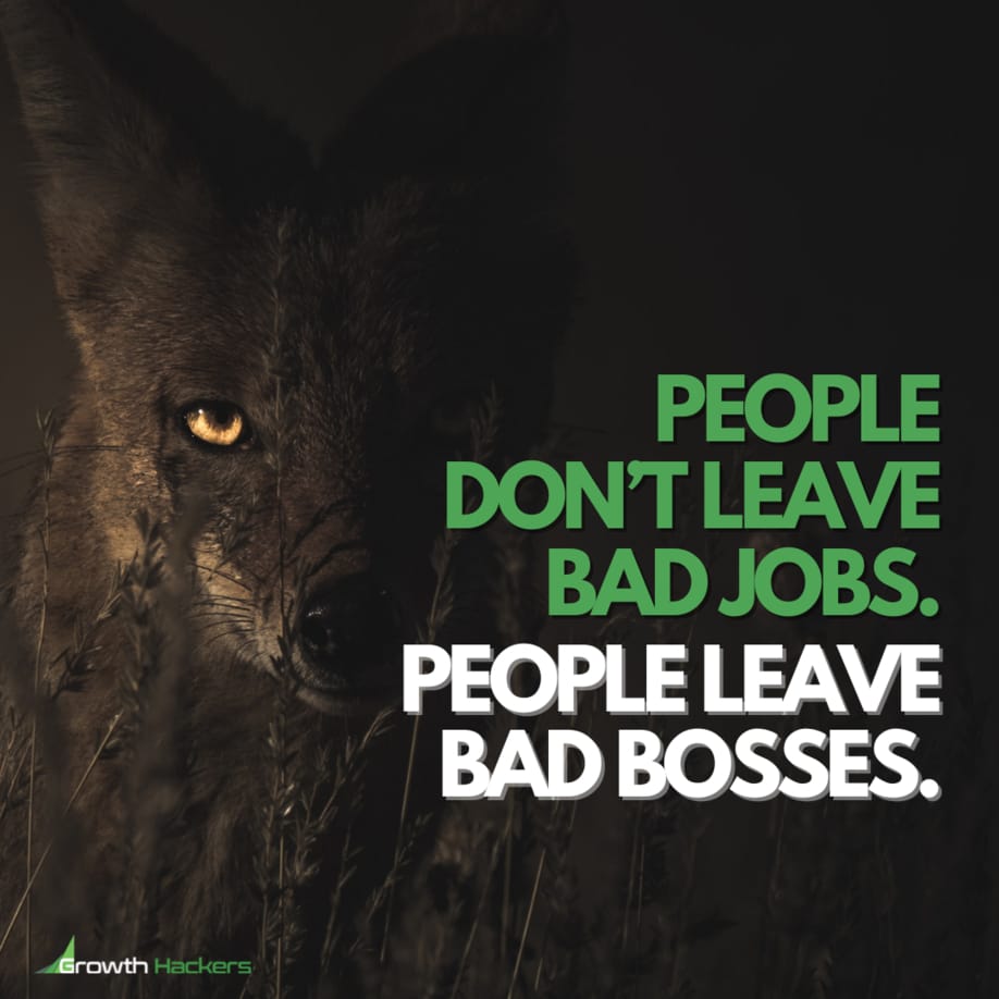 People Don’t Leave Bad Jobs. People Leave Bad Bosses. Quote Quotes