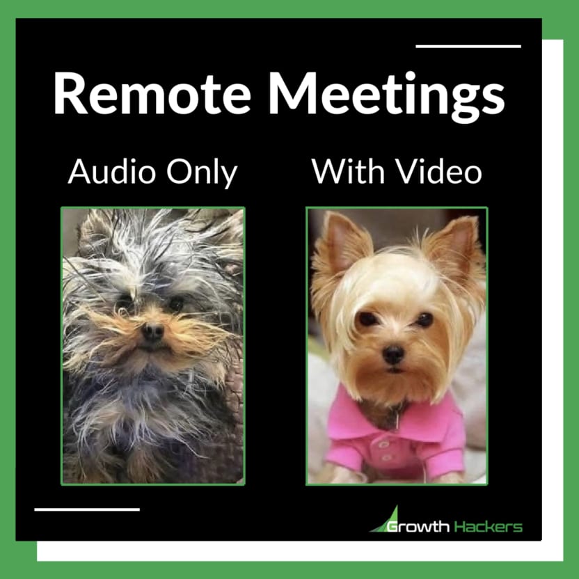 Remote Meeting. Audio Only vs With Video. Remote Work Employees Team WFH Work From Home Freelancers Agency Life