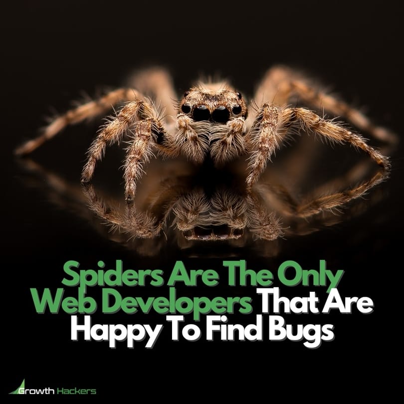 Website Design Web Developments Spiders are the only Web Developers that are happy to find Bugs