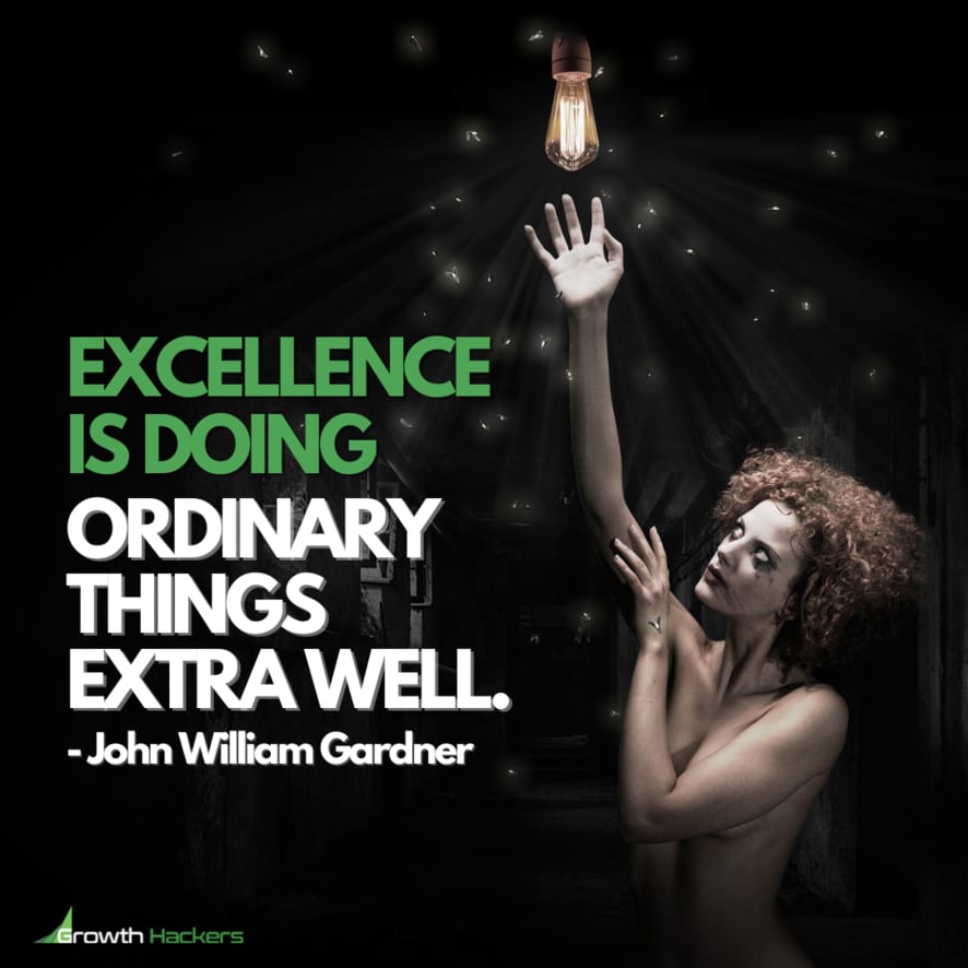 Excellence is Doing Ordinary Things Extra Well. John William Gardner Quote Quotes