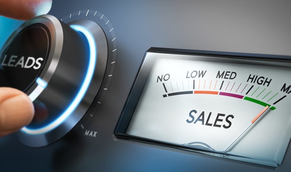 How to Implement the Sales Maximization Theory to Grow your Business