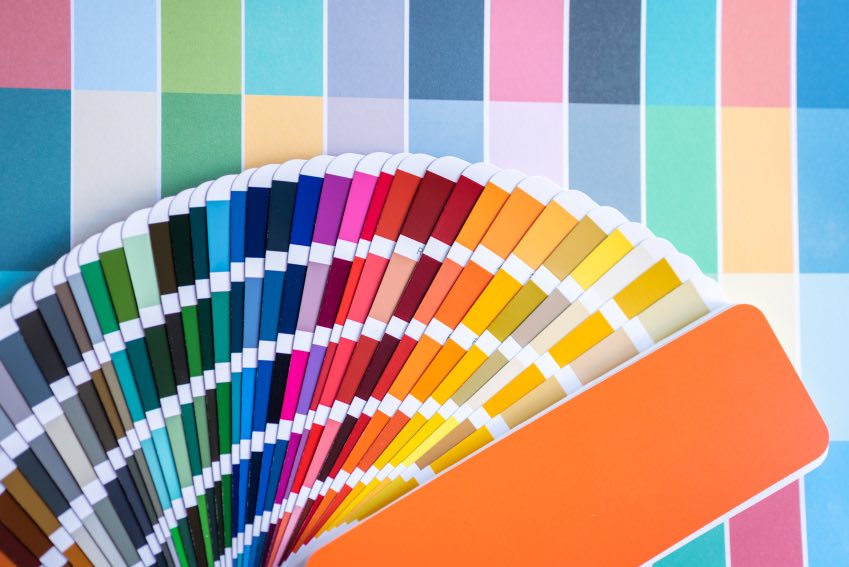 Color Palette Graphic Design Brand Identity