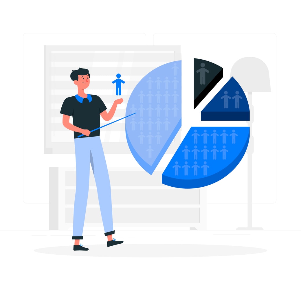 Website Traffic Segmentation Chart Graph Segment Target