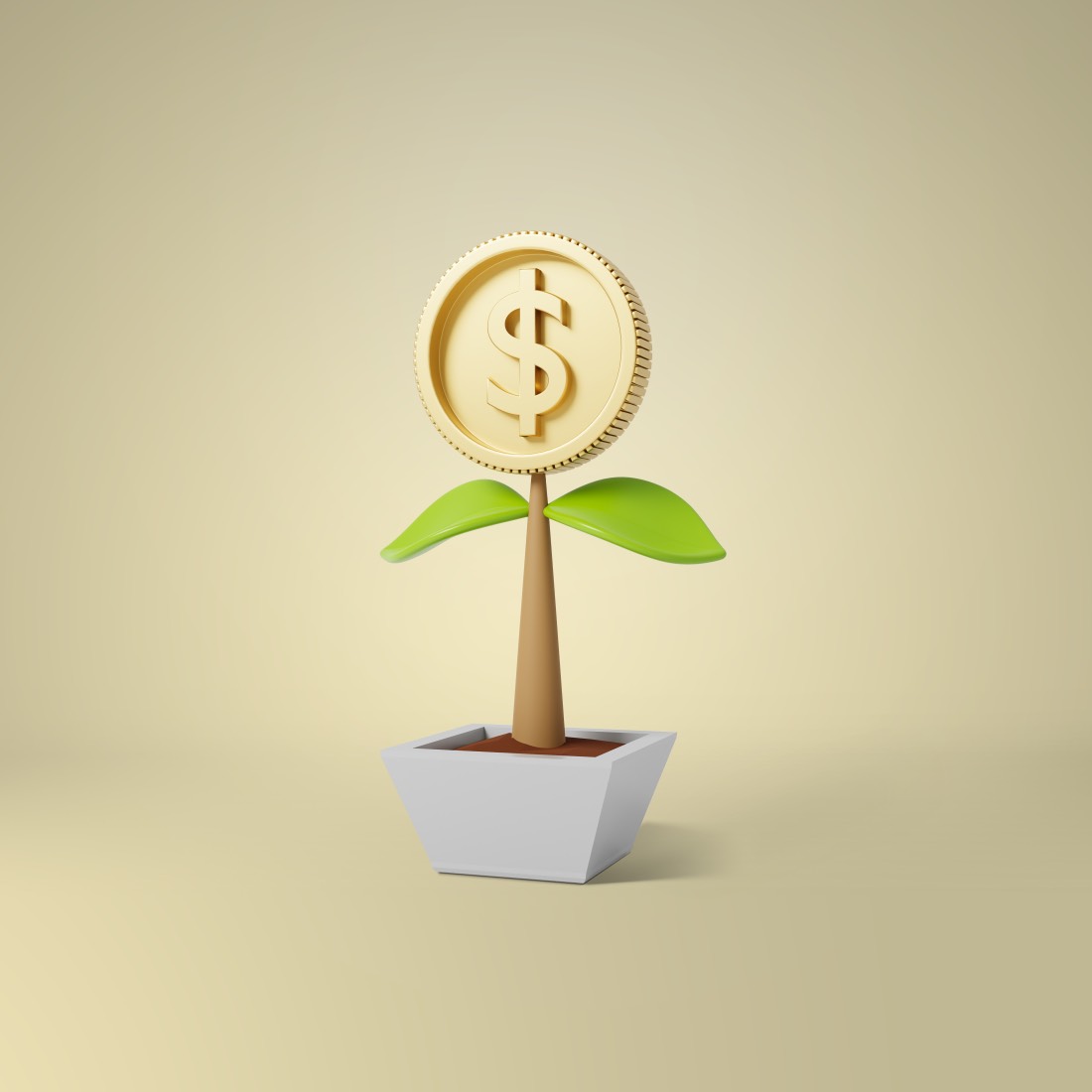 Easier to Get Funding Dollar Coing Money Tree Plant Growth