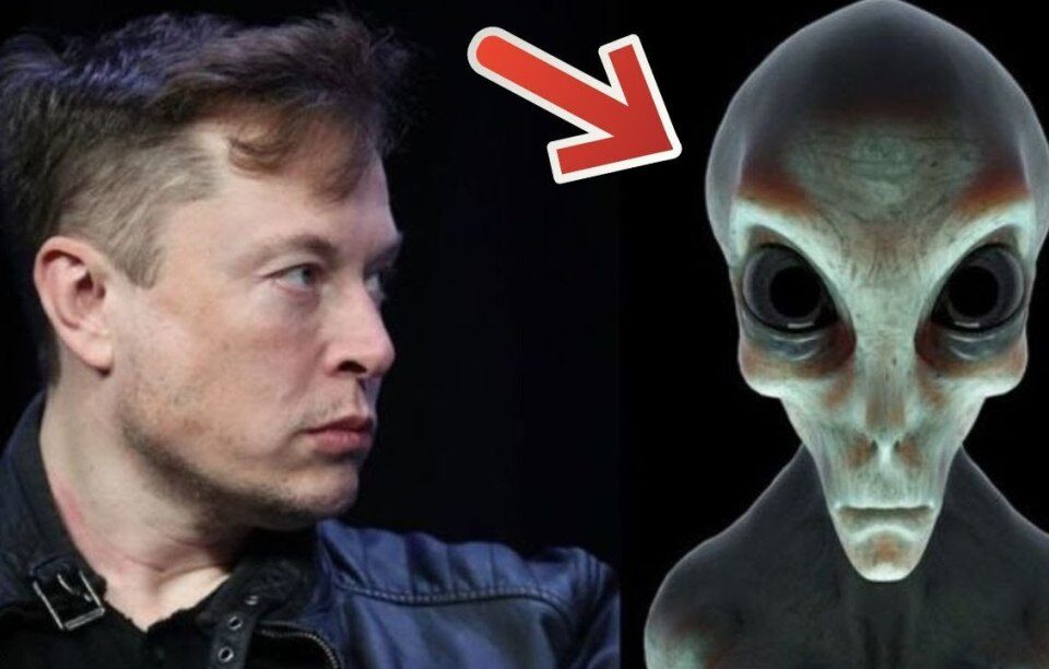 Is Elon Musk an Alien (a Business One)?