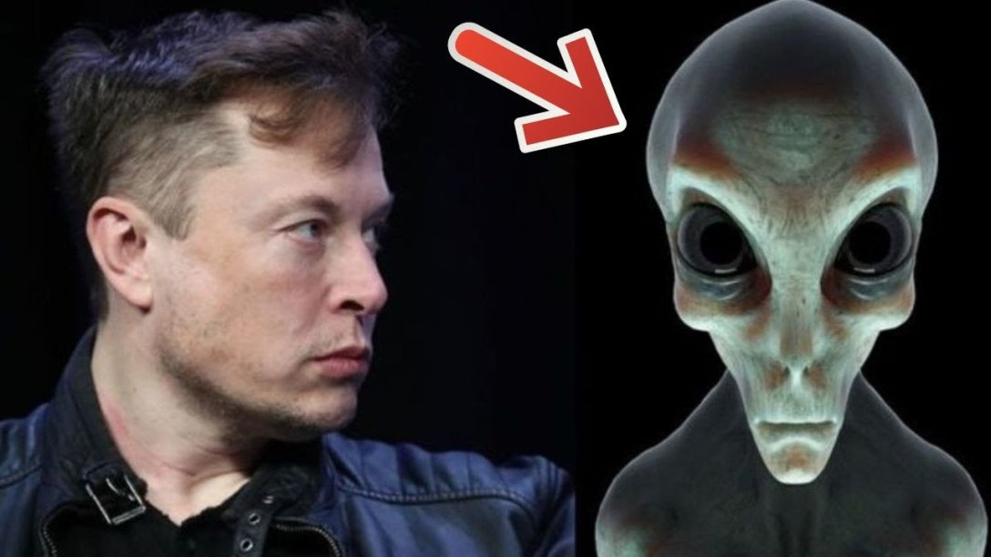 Is Elon Musk an Alien (a Business One)?