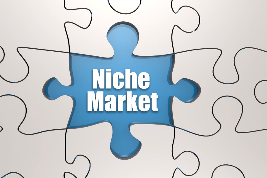 Find Niche Market Target Audience Puzzle