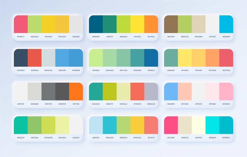 Color Palette Examples Branding Colors Samples Palettes