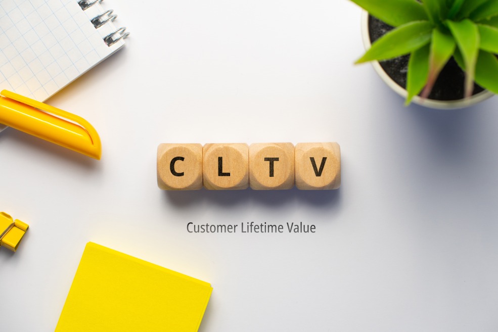 CLTV Customer Lifetime Value Marketing Wooden Dices