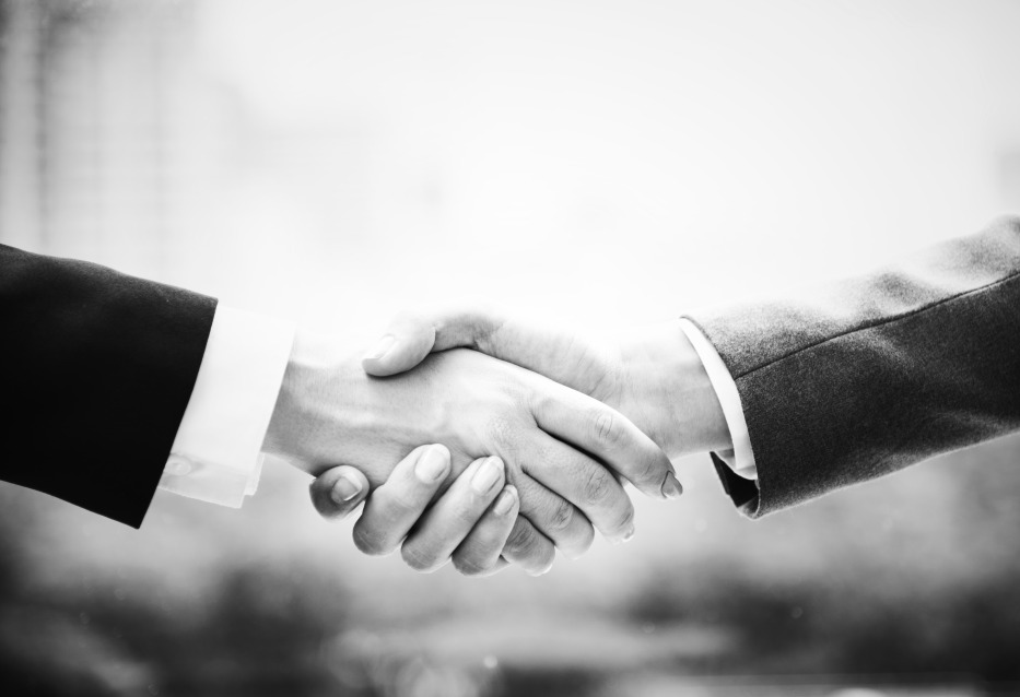 Finance Business Relationship Shake Hands Hand Shaking