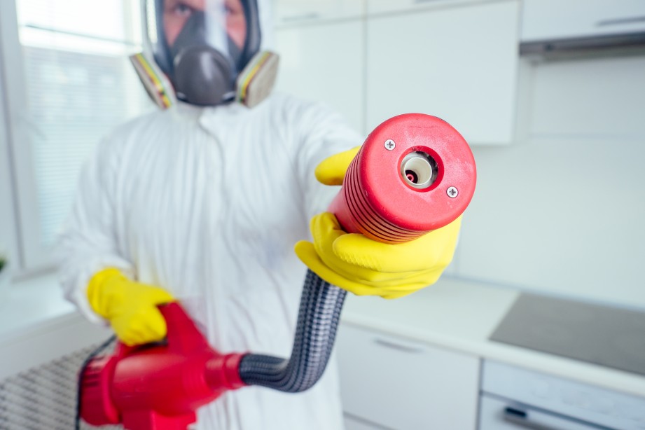 Pest Control Worker Spray Spraying Red Equipment Indoors