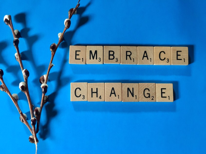 Embrace Change Letters Wooden Blocks Blue Adapt Changes Adaptability