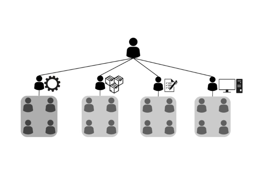 Divisional Organizational Structure Business Organization Infographic Team Management Departments