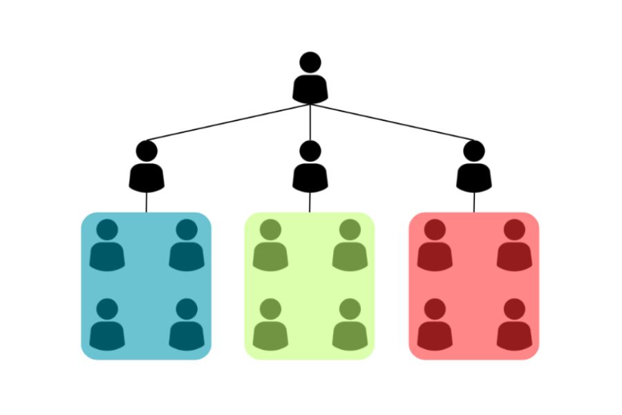 Functional Organizational Structure Business Organization Colorful Branding Management