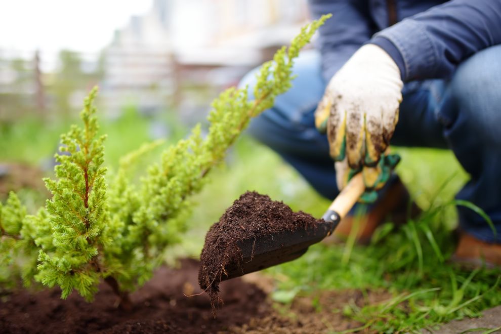 Garden soil being prepared for new plants