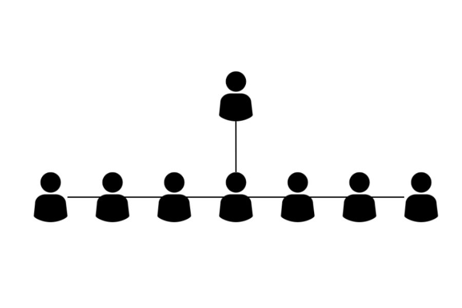 Horizontal or Flat Organization Structure Business Management Leadership