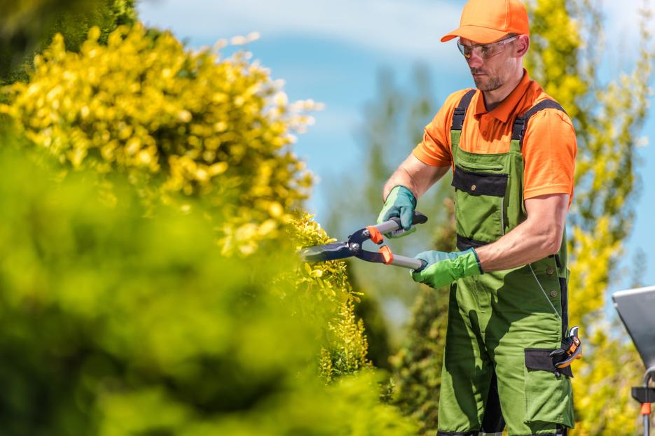 How to Grow a Landscaping Business