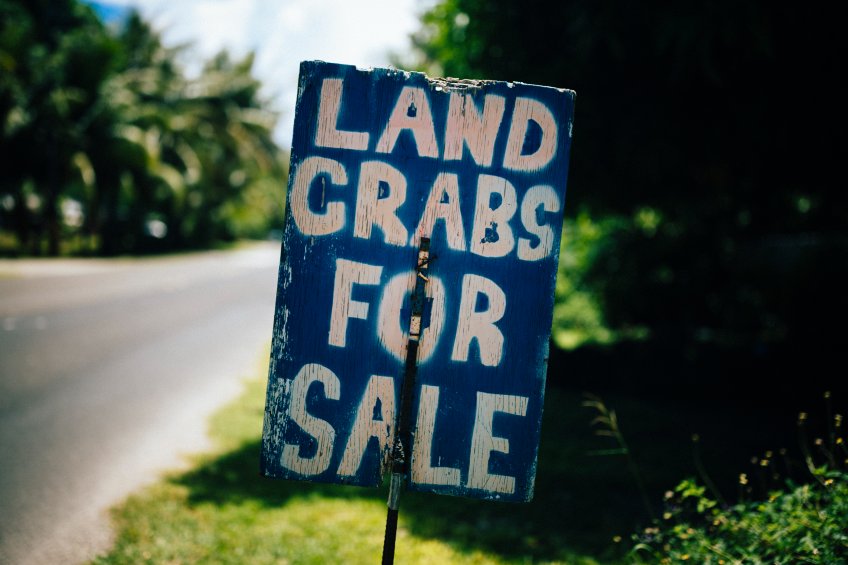 Land Crabs for Sale Handwritten Sign Outdoors Street
