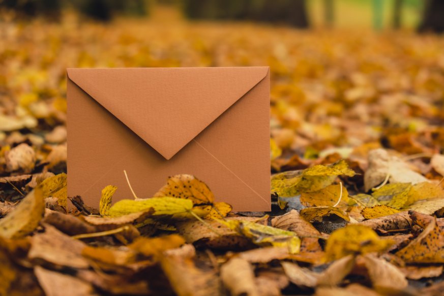 Email Enveloppe Earth Design Branding Leaves