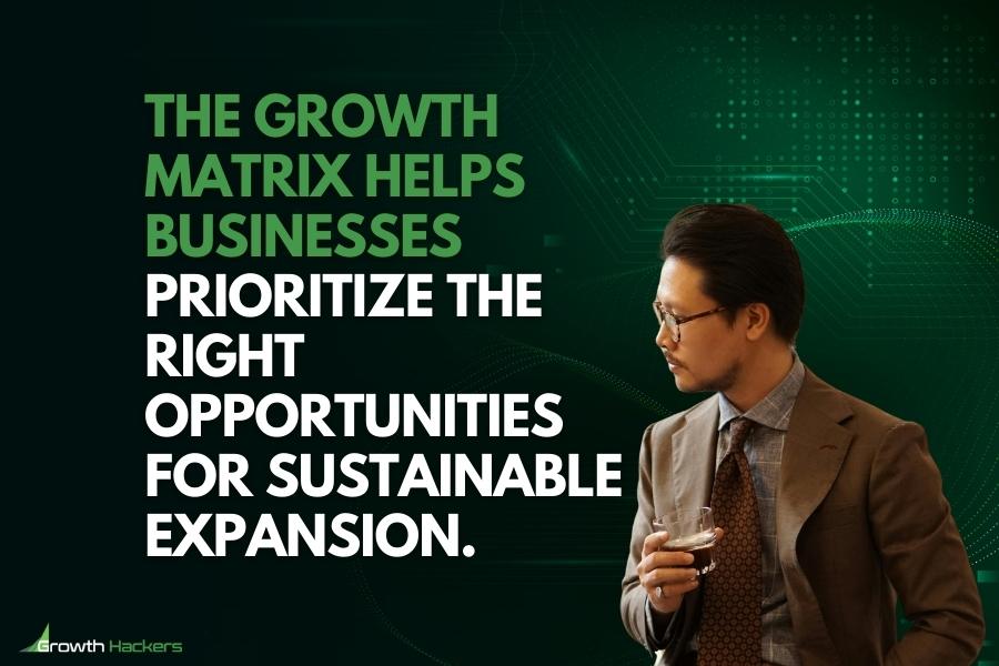 The growth matrix helps businesses prioritize the right opportunities for sustainable expansion
