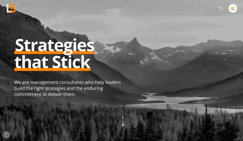 Level5 Strategy Best Small Business Consulting Agencies