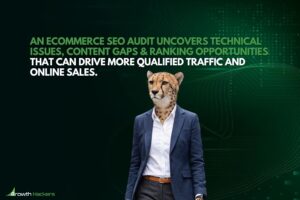 An eCommerce SEO audit uncovers technical issues content gaps and ranking opportunities that can drive more qualified traffic and online sales